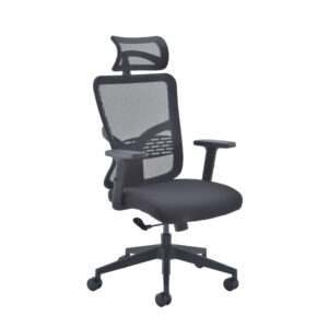 Mesh Back Task Office Chair With Headrest Height Adjustable Arms
