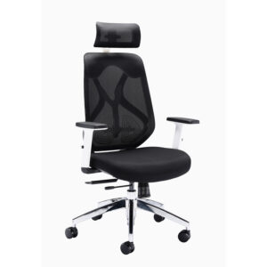 Mesh Back Task Office Chair With Headrest Height Adjustable Arms