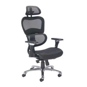 Chachi Mesh Physio Approved Office Chair - With Height Adjustable Arms