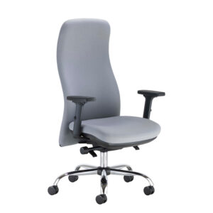 24 Hour Ergonomic Posture Chair- Physio Approved