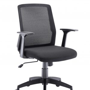 Denali Mid Back Chair - Black Mesh